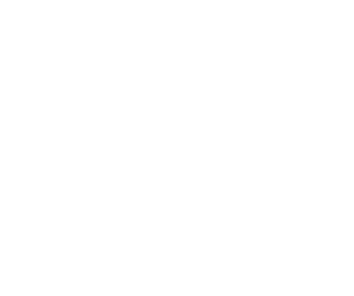 لوگو چرم پرینو